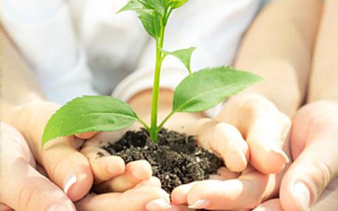 Cuidemos el planeta, sembrando un árbol en familia. | Promaiz